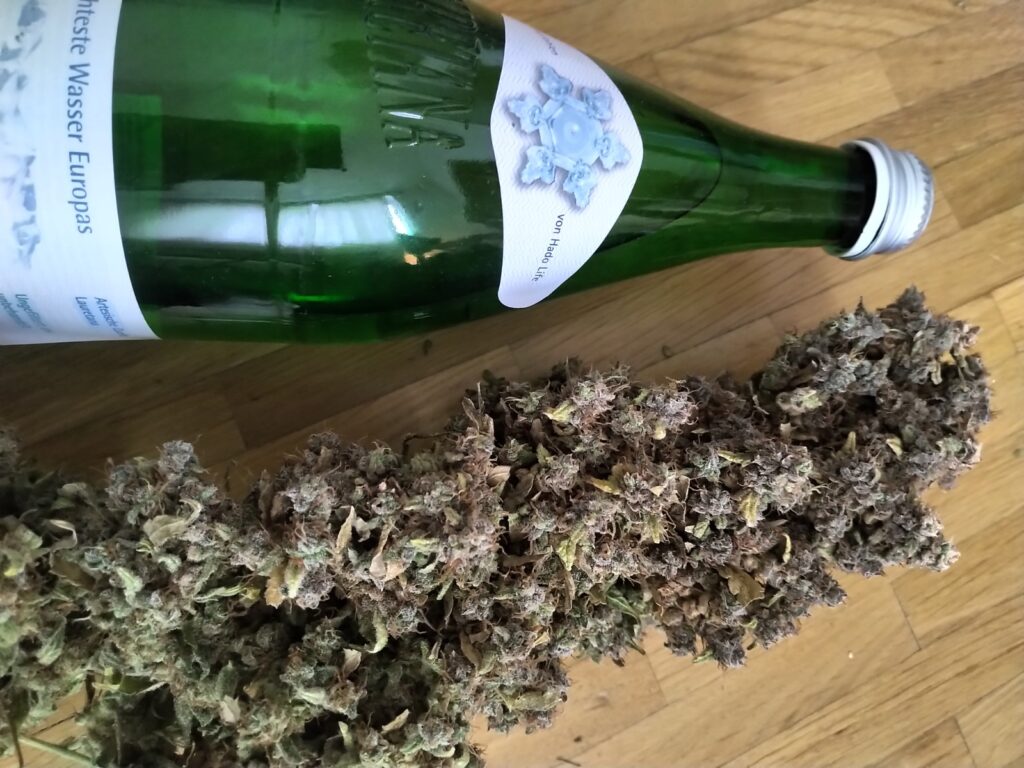 headbud - dick wie ein arm liegt neben einer flasche wasser zum größenvergleich: der Bud ist dicker als die wasserflasche! episch